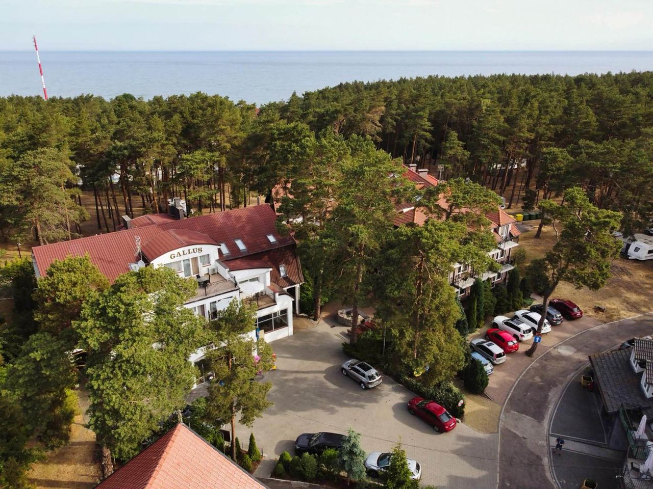 Ośrodek Gallus i Camping nr 71 wśród sosnowego lasu w Krynicy Morskiej, w tle Bałtyk