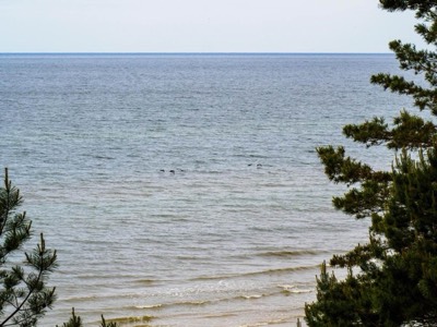 Bałtyk i plaża 150 m od ośrodka